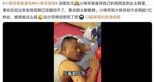 杨爸爆料视频大全最新一期,揭秘娱乐圈幕后真相